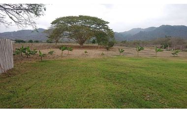 Se vende Quinta productiva sector los Bajos de Montecristi 10 has