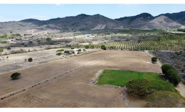 Se vende Quinta productiva sector los Bajos de Montecristi 10 has