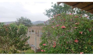 Se vende Quinta productiva sector los Bajos de Montecristi 10 has