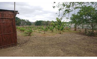 Se vende Quinta productiva sector los Bajos de Montecristi 10 has