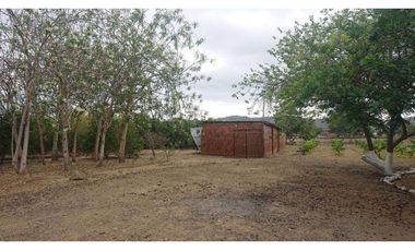 Se vende Quinta productiva sector los Bajos de Montecristi 10 has