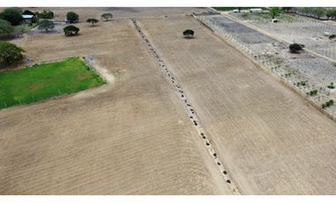 Se vende Quinta productiva sector los Bajos de Montecristi 10 has