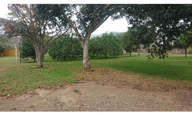 Se vende Quinta productiva sector los Bajos de Montecristi 10 has