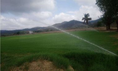 Se vende Quinta productiva sector los Bajos de Montecristi 10 has