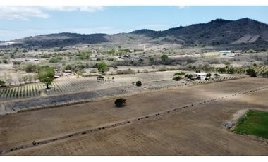 Se vende Quinta productiva sector los Bajos de Montecristi 10 has
