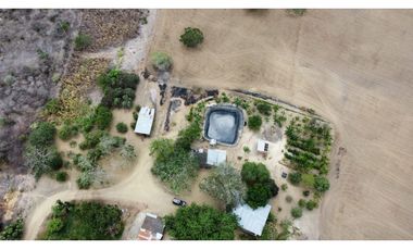 Se vende Quinta productiva sector los Bajos de Montecristi 10 has