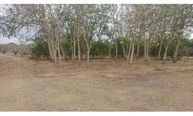 Se vende Quinta productiva sector los Bajos de Montecristi 10 has