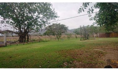 Se vende Quinta productiva sector los Bajos de Montecristi 10 has