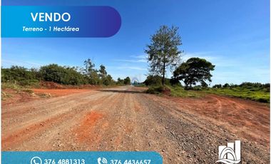 Vendo 1 hectárea sobre ruta 213
