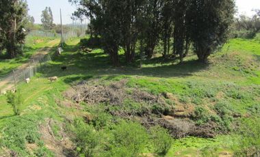 Parcela Agrado, Condominio Sta.María Quillayes, Quilpué