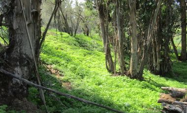 Parcela Agrado, Condominio Sta.María Quillayes, Quilpué