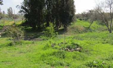 Parcela Agrado, Condominio Sta.María Quillayes, Quilpué