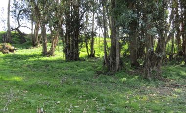 Parcela Agrado, Condominio Sta.María Quillayes, Quilpué