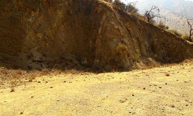 Sitio en Venta en El Almendral