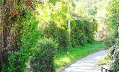 Sitio en Venta en El Almendral