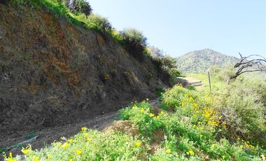 Sitio en Venta en El Almendral