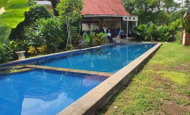 Dijual Cepat 12 Unit Villa / Cottage di Lovina Singaraja Bali