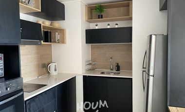 Departamento Cerro villa dominante ID: 170494r