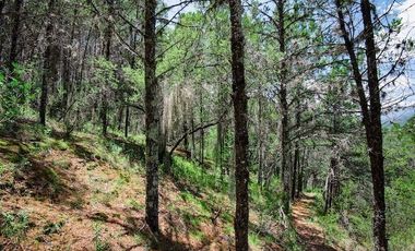 CABAÑA EN VENTA EN SANTIAGO NL