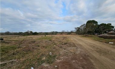 Se vende finca de 32 hectáreas en Totí, Darién
