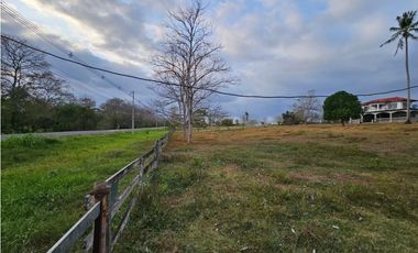 Se vende finca de 32 hectáreas en Totí, Darién