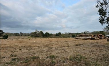 Se vende finca de 32 hectáreas en Totí, Darién