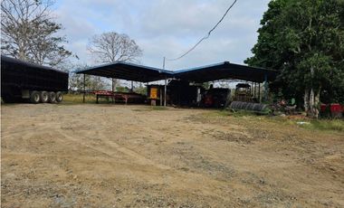 Se vende finca de 32 hectáreas en Totí, Darién