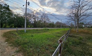 Se vende finca de 32 hectáreas en Totí, Darién