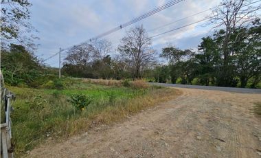 Se vende finca de 32 hectáreas en Totí, Darién
