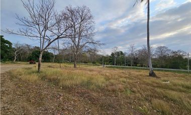Se vende finca de 32 hectáreas en Totí, Darién