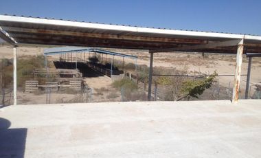 TERRENO EN VENTA EN LA POPULAR, GOMEZ PALACIO, DURANGO
