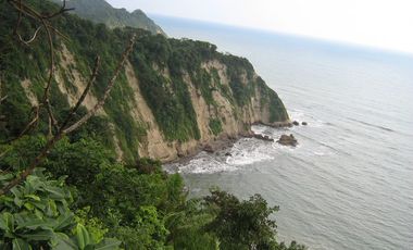 Se Vende Terreno para Desarrollar Frente al Mar en Caimito