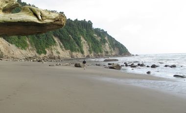 Se Vende Terreno para Desarrollar Frente al Mar en Caimito
