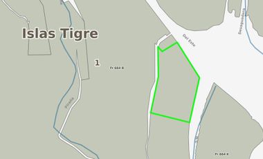 Terreno - Tigre