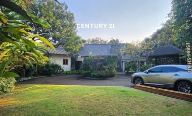 Dijual Atau Disewakan Rumah Asri Dengan Tanah Luas Di Cilandak