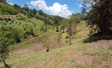 Venta de Finca Independiente San Vicente