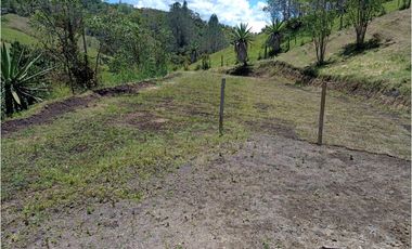 Venta de Finca Independiente San Vicente