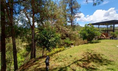 Venta de Finca Independiente San Vicente