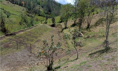 Venta de Finca Independiente San Vicente