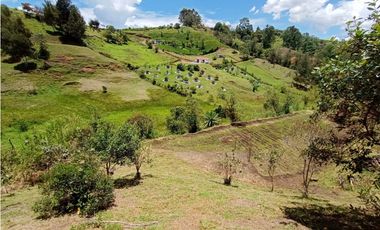 Venta de Finca Independiente San Vicente