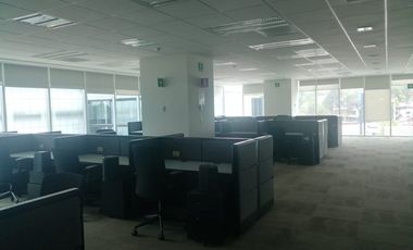 SE RENTA OFICINA  PISO COMPLETO