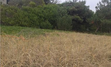 Lote en venta frente al mar. Pinamar Norte