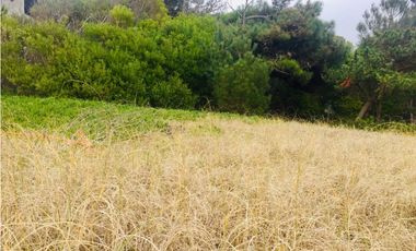 Lote en venta frente al mar. Pinamar Norte