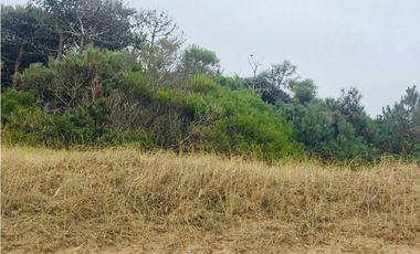 Lote en venta frente al mar. Pinamar Norte