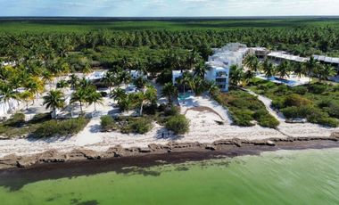 Terreno Frente al Mar de San Crisanto Yucatán