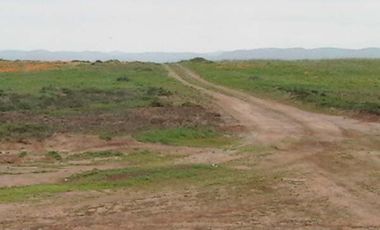 Terreno Industrial en venta de 400 Hectáreas, Punta Colonet, Ensenada México.