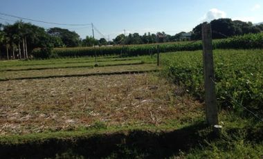 Titled Farm / Agricultural lot for sale, Bacnotan, La Union