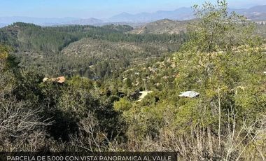 Hermosa parcela con 2 casas en Terrazas de Pitama