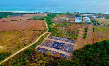 TERRENOS EN PLAYA GUAPINOL CERCA DE AGUA BLANCA, PUERTO Escondido