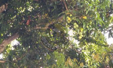 Terreno de venta en Yunguilla – código:12360